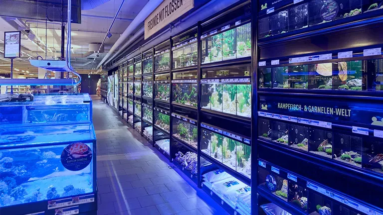 Kölle Zoo Über uns